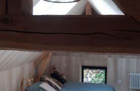 L'atypique du buisson de la gariole - Foto 32