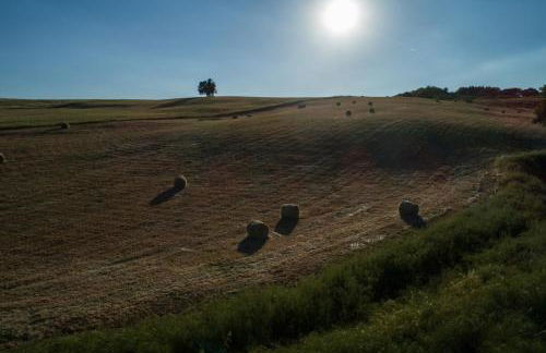 Agriturismo San Carlo - Foto 30