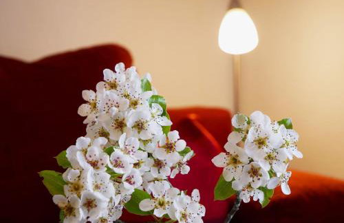 Bühlbauernhof - Foto 40