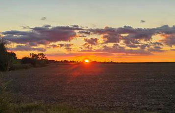 Oase am Deich - Photo 35