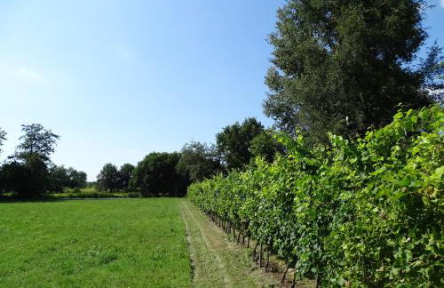 Corte Isolo - Photo 43