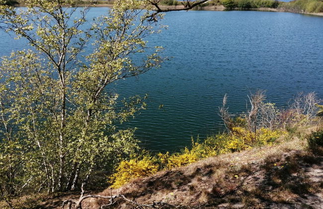 "Helmi" - 1km from the sea - Photo 7