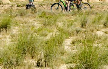 Apartamentos Ribera Navarra - Bardenas - Photo 55