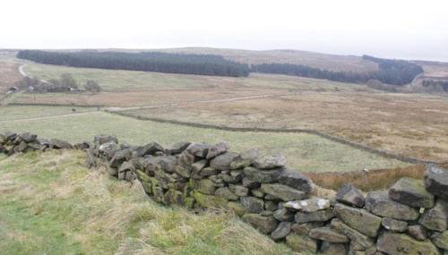 Anroach Farm House in The Peak District(sleeps 20) - Foto 5, Garden, Garden view