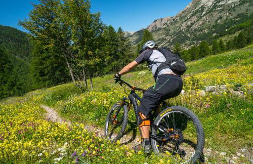 Beau chalet 15p - Abriès - Parc naturel du Queyras - Photo 45