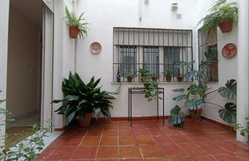 Lineros 24 - Foto 13