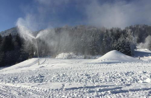 Bergblick Lodge - Photo 29