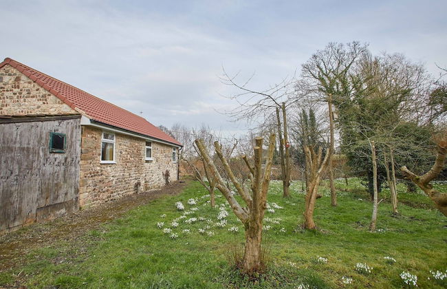 Snowdrop Cottage - Photo 25