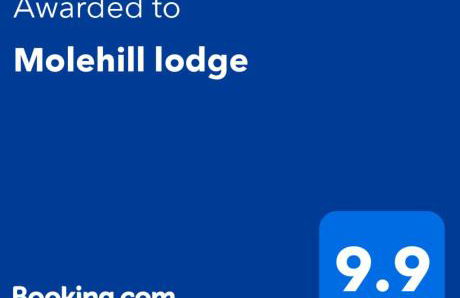 Molehill lodge - Foto 39
