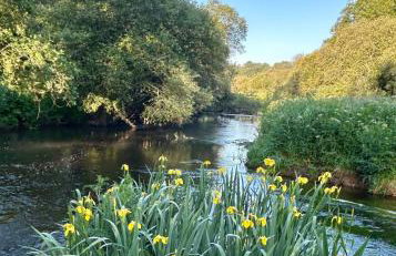 Cocon Nature et bain nordique à 37 degrés - Foto 39