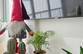 Boho Arenal Bol - Foto 53