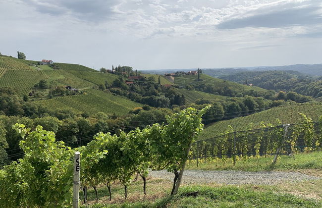 Apartment Weingartenblick - Photo 10