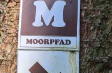 Haus Kellerwald - Ferienwohnung Kellerwald-Edersee - Foto 33