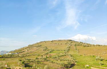 Quinta dos Padrinhos - Suites in the Heart of the Douro - Foto 40