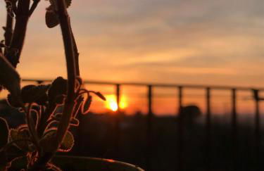 La terrazza - Foto 16