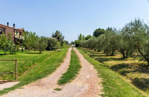 Agriturismo il Pollino - Foto 10