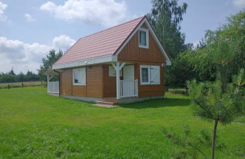 Dom Pod Żurawiami - Foto 1