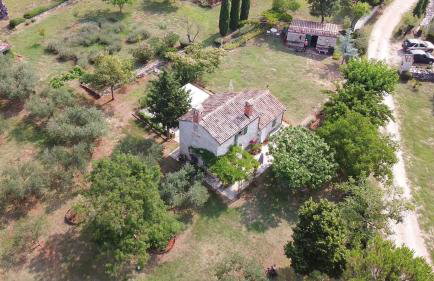 Cottage Casa Vinela - Foto 27