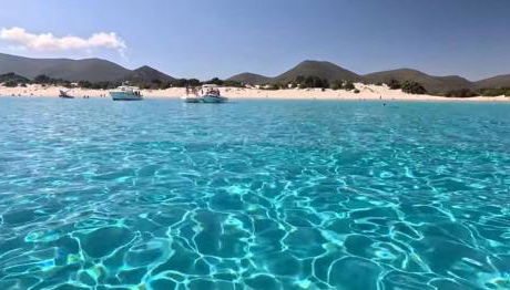 Rose e fiori - Foto 4