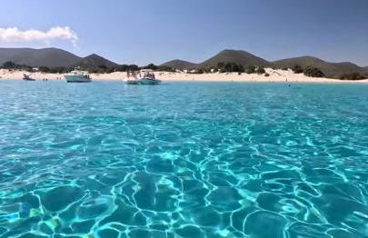 Rose e fiori - Foto 4