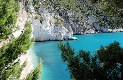 Downtown San Lorenzo - Foto 46