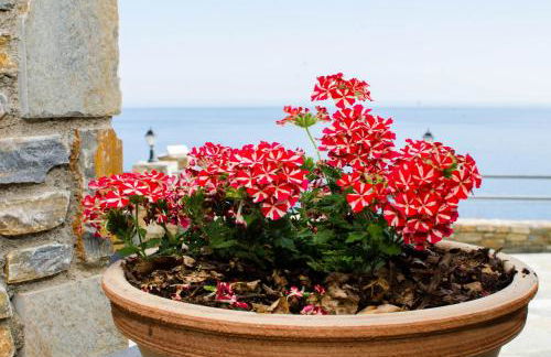 Guesthouse Enastron - Foto 47