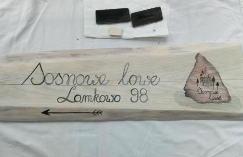 sosnowelowe - Foto 60