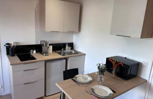 Cozy studio proche Zenith, A75 "émile" - Foto 5