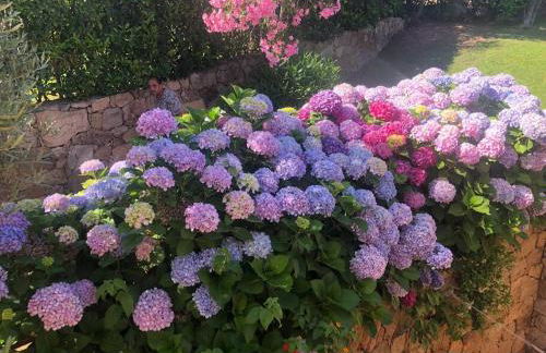 Sunny House a Punta Molara - Foto 16