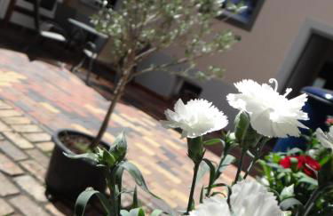 Villa "Schöni" - Foto 24