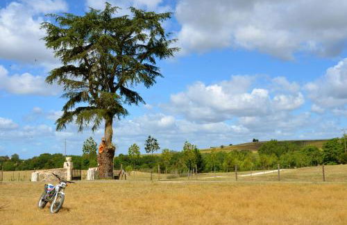Château de Pleneselve - Foto 64