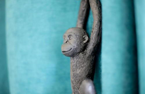 Chez Maminou - 8 couchages parking proche centre - Photo 26