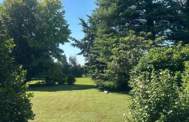 L'Angolo Verde - Foto 18