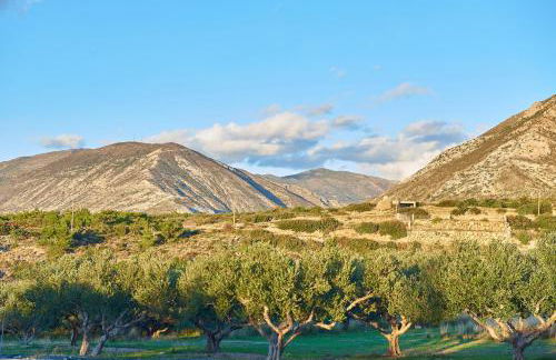 Villa Evenos with private pool - Foto 42