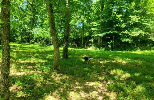 Echo Valley Outdoor Oasis Campsite - Foto 28