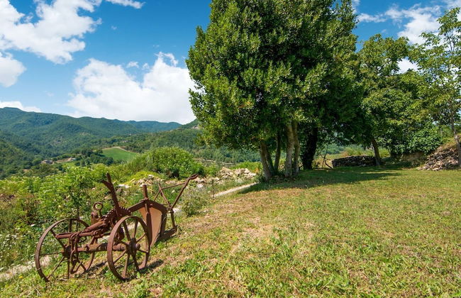 Holiday Home in Citta di Castello With Pool - Photo 38
