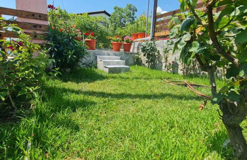 Stella's Garden - Foto 34