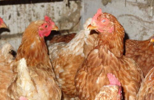 Hofrichter - Photo 40