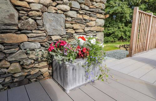 The Owl's Shack - Foto 40