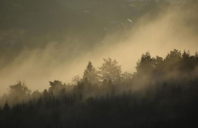 Scenic Cottage in Rahier - Photo 38