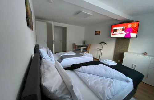 Apartment Q im Zentrum von Königsbronn Monteurzimmer - Foto 8