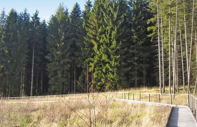 Apartment in Eifel Near Hiking Trails - Foto 27