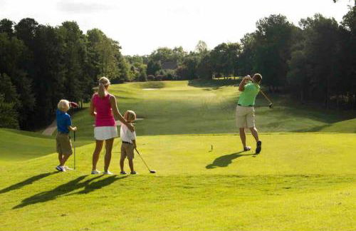 Beautiful home near Carowinds, Ballantyne - Foto 12