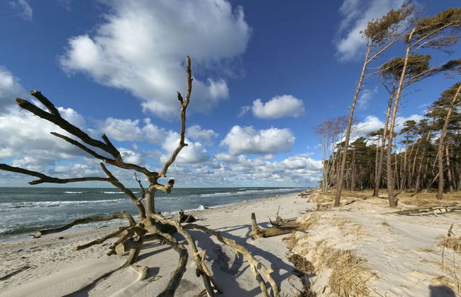 Old Shipman's House Comfortable Holiday Residence - Photo 35