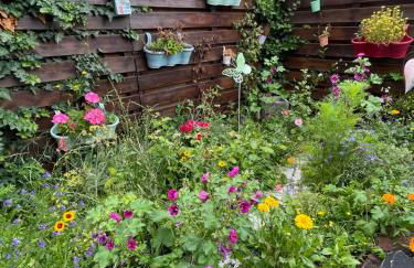 Apartment im Pfälzerwald - Foto 3