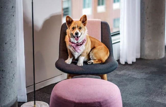 Hotel Monville - Foto 44