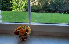 Neue Ferienwohnung direkt am Wald - Photo 23