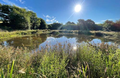 Renovated Barn with Pond View - Foto 27