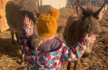 Wohnen im ehemaligen Kuhstall Stiehler Farm - Foto 31