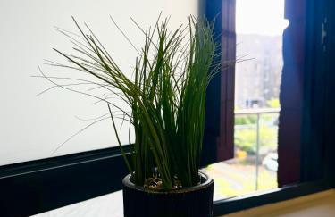 Digbeth Luxury 1 Bed Studio Apartment - Photo 6